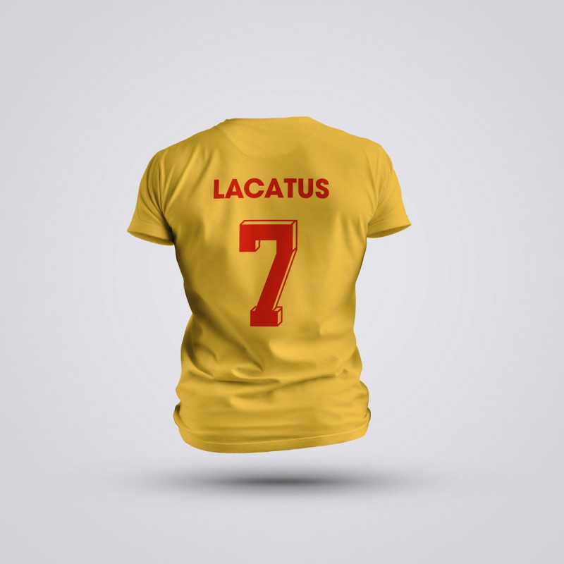 Tricou Lacatus - Romania 94 - Galben,Tricouri Fotbal